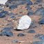 Rocha branca encontrada em Marte