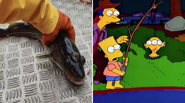 Peixe encontrado na Groenlândia e cena de Os Simpsons - Reprodução e Divulgação/FOX