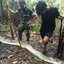 Mulher desaparecida é encontrada dentro de cobra píton de nove metros na Indonésia