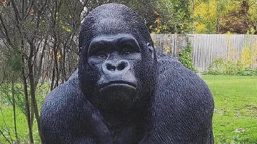 Estátua do gorila Gary - Victoria Police