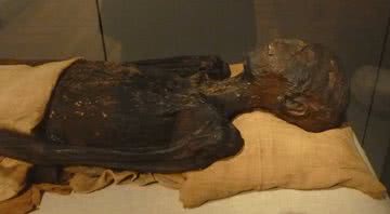 Foto da múmia de Ahmose em exposição - Wikimedia Commons