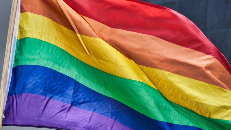 Imagem da bandeira do Orgulho LGBTQIA+ - SatyaPrem no Pixabay