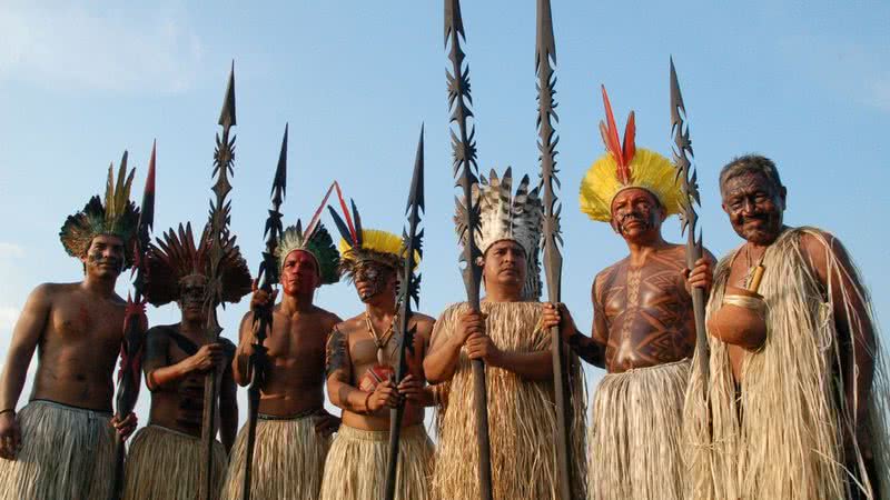 Aventuras na História · Dia do Índio: 15 obras para entender esta luta  histórica