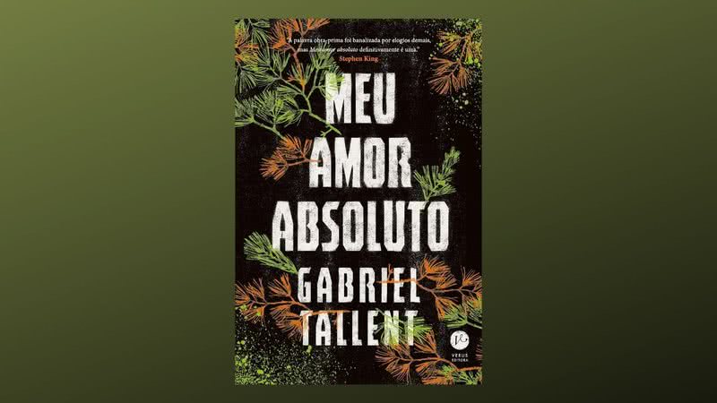 Capa da obra “Meu amor absoluto” (2021) - Divulgação / Verus Editora