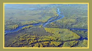 Pantanal, cenário de vida natural, novelas e documentários é um dos principais biomas brasileiros - Créditos: Reprodução / Pixabay