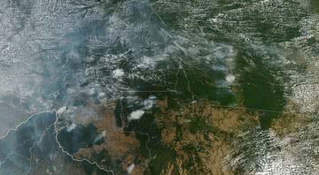 Imagem aérea de queimada localizada no território da mata amazônica - Arquivo
