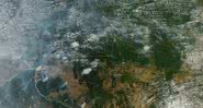 Imagem aérea de queimada localizada no território da mata amazônica - Arquivo