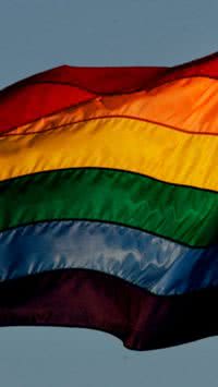 Entenda como surgiu a bandeira LGBTQIA+ e o significado de suas cores