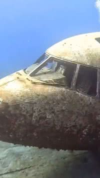 Avião descansa no fundo do Mar Vermelho