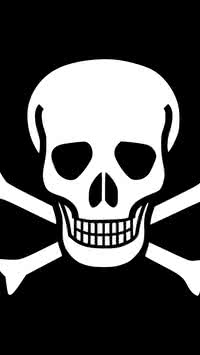 5 mitos sobre os piratas!