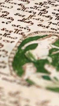 Conheça o enigmático manuscrito Voynich!