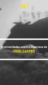 5 curiosidades sobre a supervaca de Fidel Castro