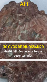 30 ovos de dinossauro de 66 milhões de anos foram desenterrados