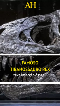 Famoso tiranossauro rex teve infecção óssea