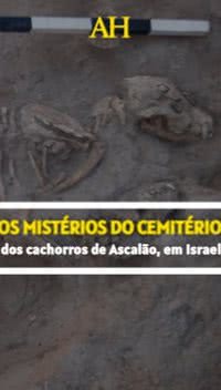 Os mistérios do cemitério dos cachorros de Ascalão, em Israel