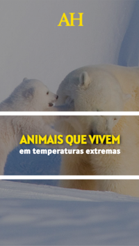Animais que vivem em temperaturas extremas