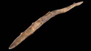 Fotografia de ferramenta de madeira milenar encontrada na Inglaterra - Divulgação/ Volker Minkus