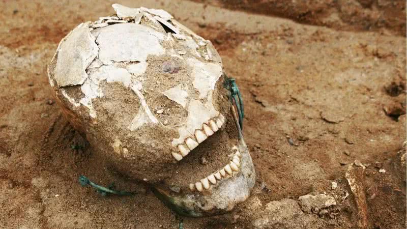 Um dos esqueletos encontrados na Terra de Dobrzyn, no norte da Polônia - Divulgação/Jadwiga Lewandowska