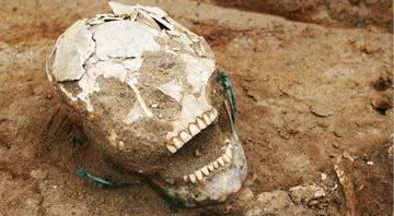 Um dos esqueletos encontrados na Terra de Dobrzyn, no norte da Polônia - Divulgação/Jadwiga Lewandowska