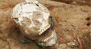 Um dos esqueletos encontrados - Jadwiga Lewandowska