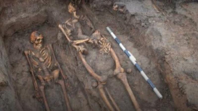 Foto de esqueletos humanos achados na abadia de Vreta, na Suécia - Foto: Divulgação / Arkeologerna