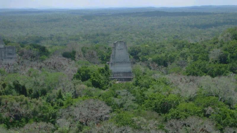 Ruínas de Tikal, na atual Guatemala - Divulgação/Stephen Houston