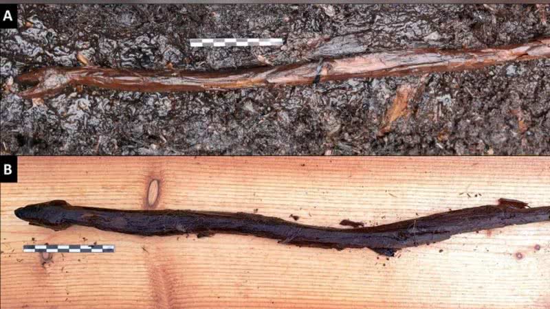 O bastão de madeira no local que foi encontrado (A) e durante o estudo (B) - Divulgação/Satu Koivisto/Antiquity
