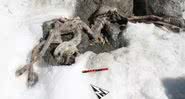 Os restos do animal no local onde foram descobertos - Divulgação/Exército Italiano - Comando Truppe Alpine
