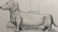 Desenho representando a aparência da cadela descoberta - Divulgação/ Digventures