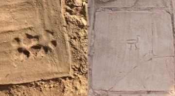 Impressão de pata de cachorro e desenho na parede - Divulgação - Archaeological Exploration of Sardis/President and Fellows of Harvard College