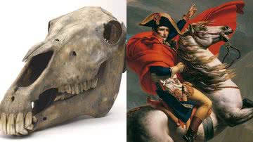 Crânio de Marengo e Pintura de Jacques-Louis David retrata Napoleão - Museu Nacional do Exército/Wikimedia Commons