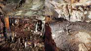 Montagem com fotografias mostrando interior da caverna - Divulgação/ Universidade de Cantábria