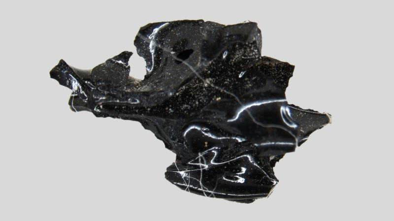 Cérebro de vítima se transformou em vidro após erupção do Vesúvio, há 2 mil anos atrás - Divulgação/ New England Journal of Medicine