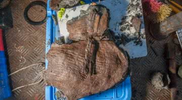 Uma cesta de fruta de 2 mil anos encontrada em Thonis-Heracleion - Divulgação/Fundação Hilti - Christoph Gerigk/Franck Goddio