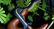 Ilustração artística da espécie Nagini mazonense - Divulgação/Henry Sutherland Sharpe