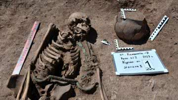 Fotografia do cocheiro da Idade do Bronze - Divulgação/ Instituto de Arqueologia e Etnografia da Academia Russa de Ciências