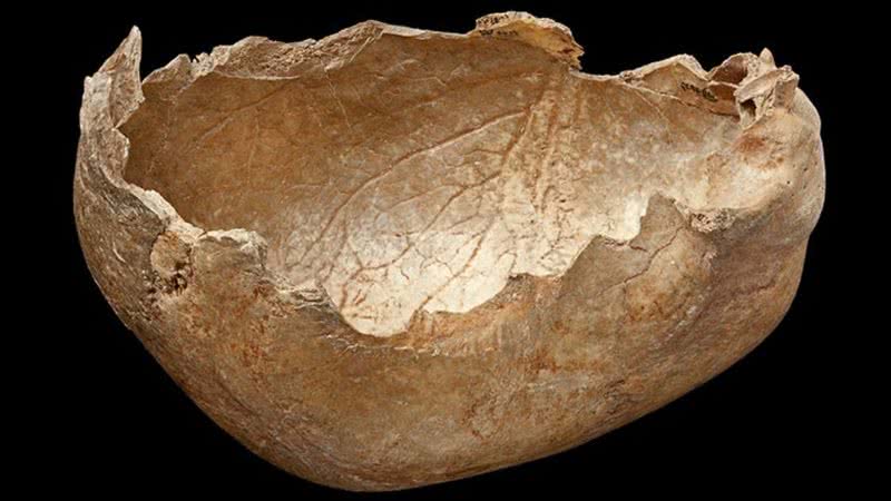 Um crânio transformado em recipiente - Divulgação - Museu de História Natural de Londres