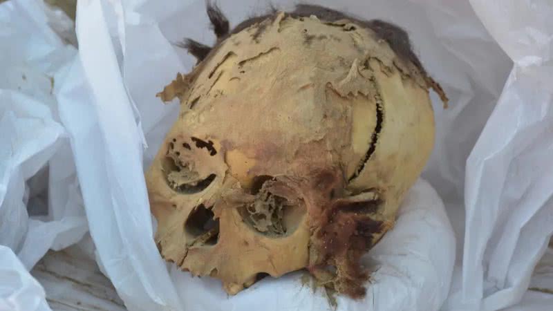 Cabeça de múmia encontrada em Lima - Reprodução / Redes Sociais
