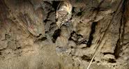 Imagem do crânio encontrado na caverna Marcel Loubens - Divulgação/PLOS ONE