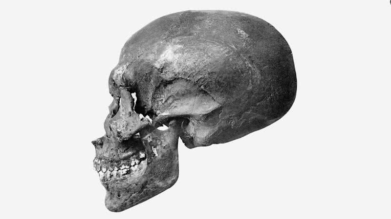 O crânio da múmia - Centro de Pesquisa da FAPAB