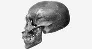 O crânio da múmia - Centro de Pesquisa da FAPAB