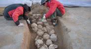 Poço contendo os crânios descobertos - Academia de Arqueologia de Shaanxi