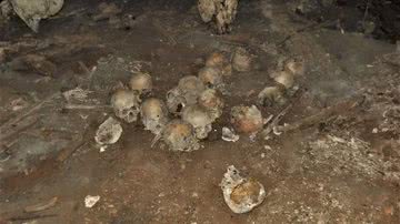 Fotografia de ossos encontrados na gruta - Divulgação/ INAH