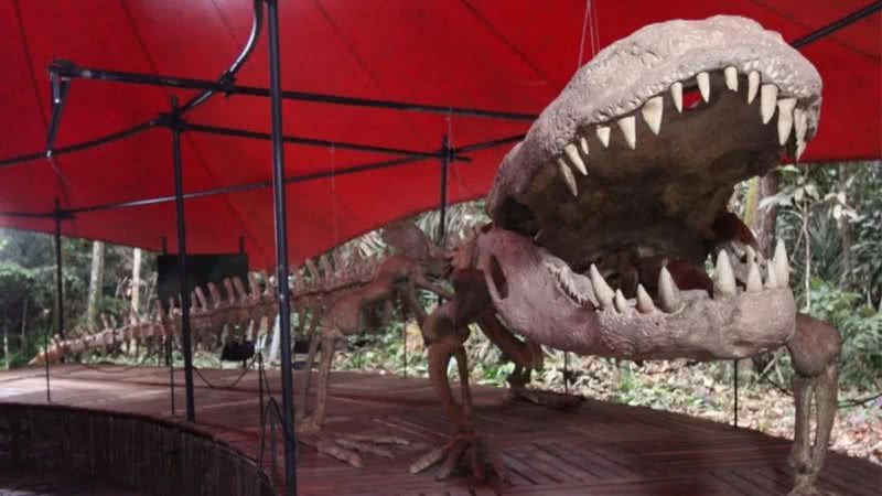 Reprodução do Purussaurus brasiliense, maior crocodilo do mundo - Valter Calheiros/Museu da Amazônia (Musa)