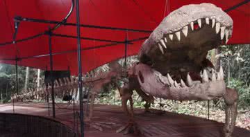 Reprodução do Purussaurus brasiliense, maior crocodilo do mundo - Valter Calheiros/Museu da Amazônia (Musa)
