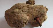 O osso do tornozelo deste esqueleto estava perpassado por um prego de crucificação - Divulgação / Albion Archaeology