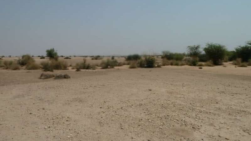 Fotografia mostrando região do deserto onde cientistas acreditam que havia rio. - Divulgação/ J. Blinkhorn