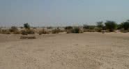 Fotografia mostrando região do deserto onde cientistas acreditam que havia rio. - Divulgação/ J. Blinkhorn