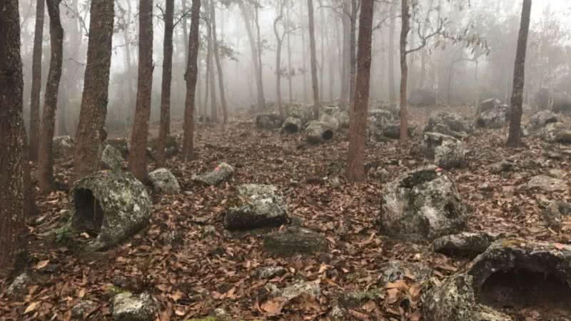 Fotografia onde é possível ver algumas das centenas de jarras de pedras da região - Divulgação / Projeto Arqueológico Plain of Jars