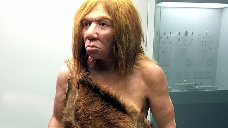 Representação de um homem de Neandertal - Hispalois/Wikimedia Commons